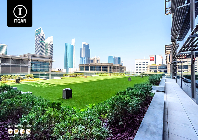 الاستثمار-في-جبل-علي؟